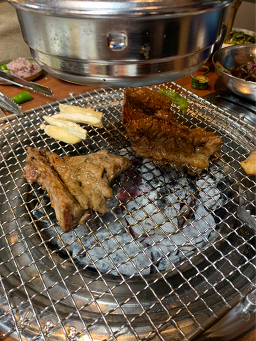 문정갈매기 사진 7