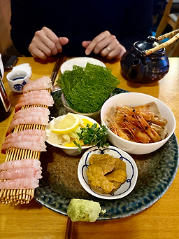 시소 3
