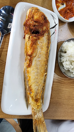 어군 사진 3