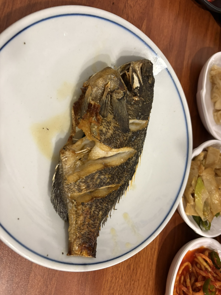 젊은어부 사진 6