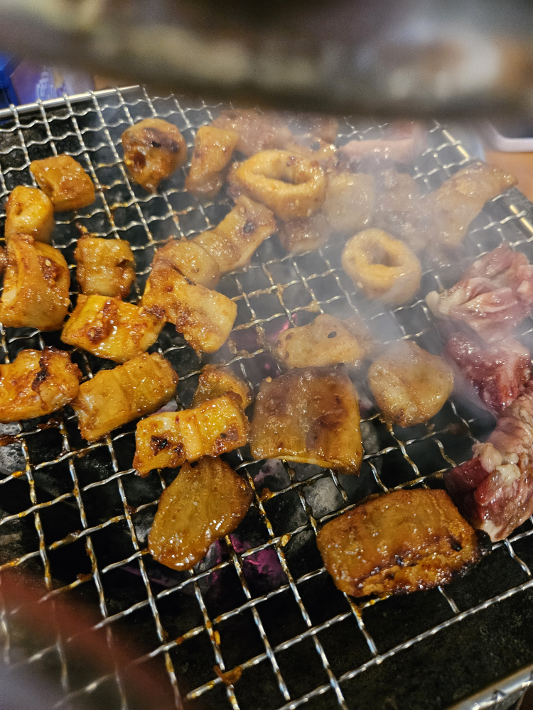 Sanhoanagogomjangeo (산호아나고곰장어) 1