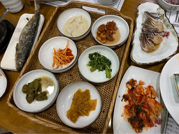 다솜차반 5