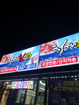Cheonghaehoetjip 5