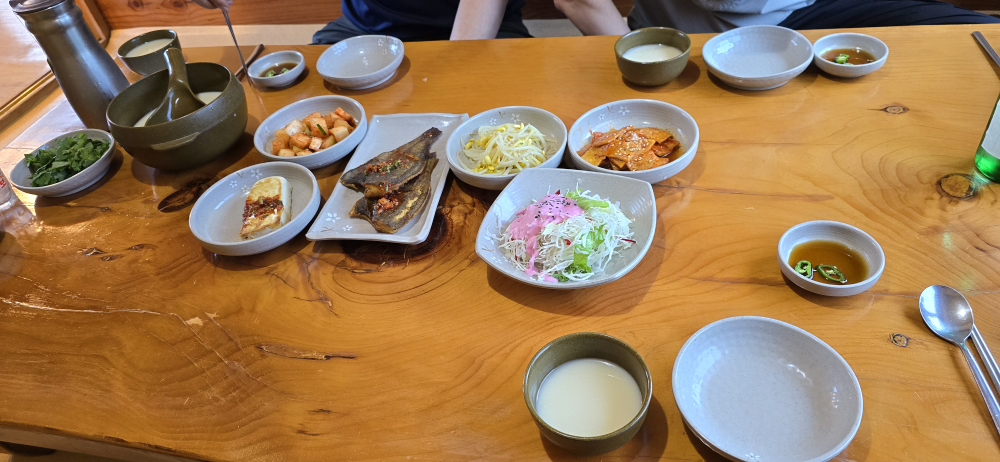 향원 5