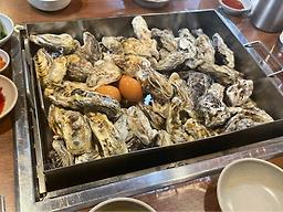 Tonggultonggul 1