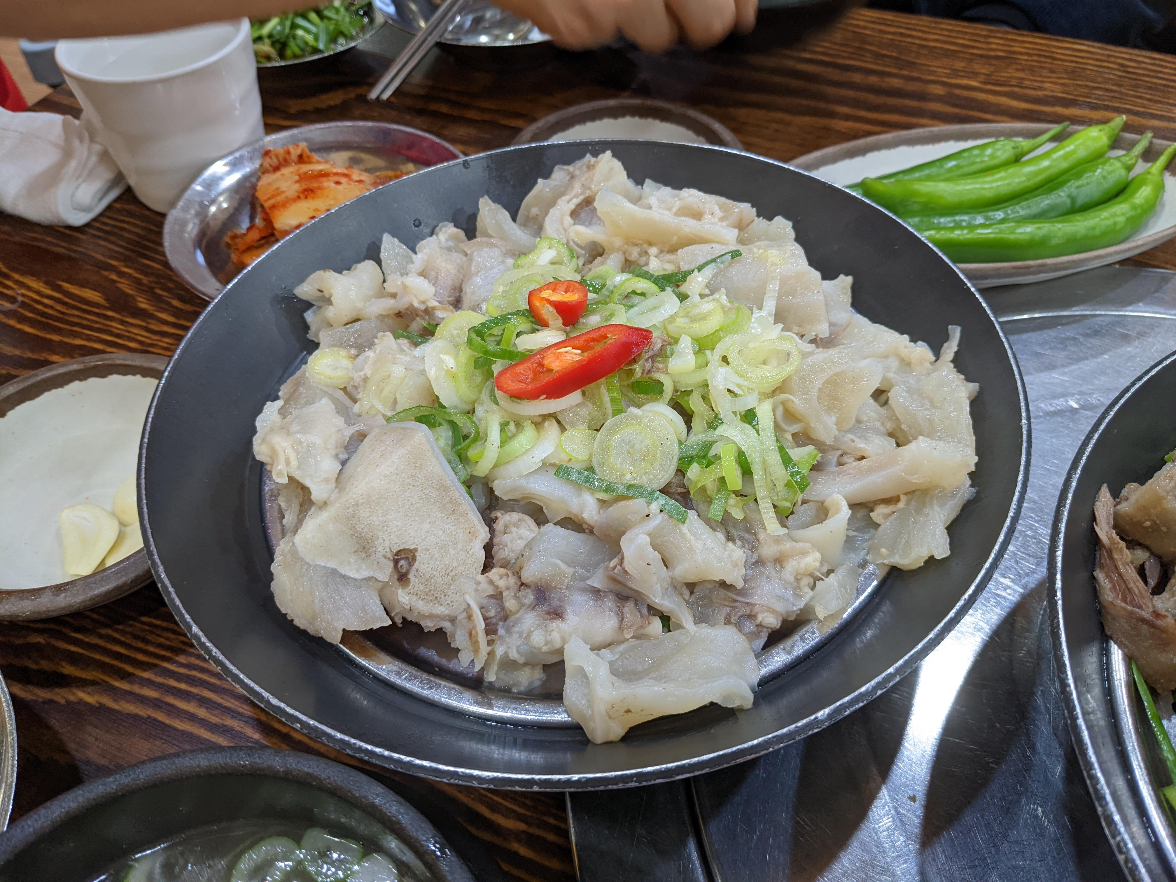 등나무집 사진 6