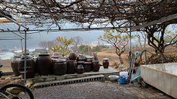 Yangjimakguksu 6
