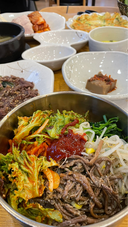 벽오동 3
