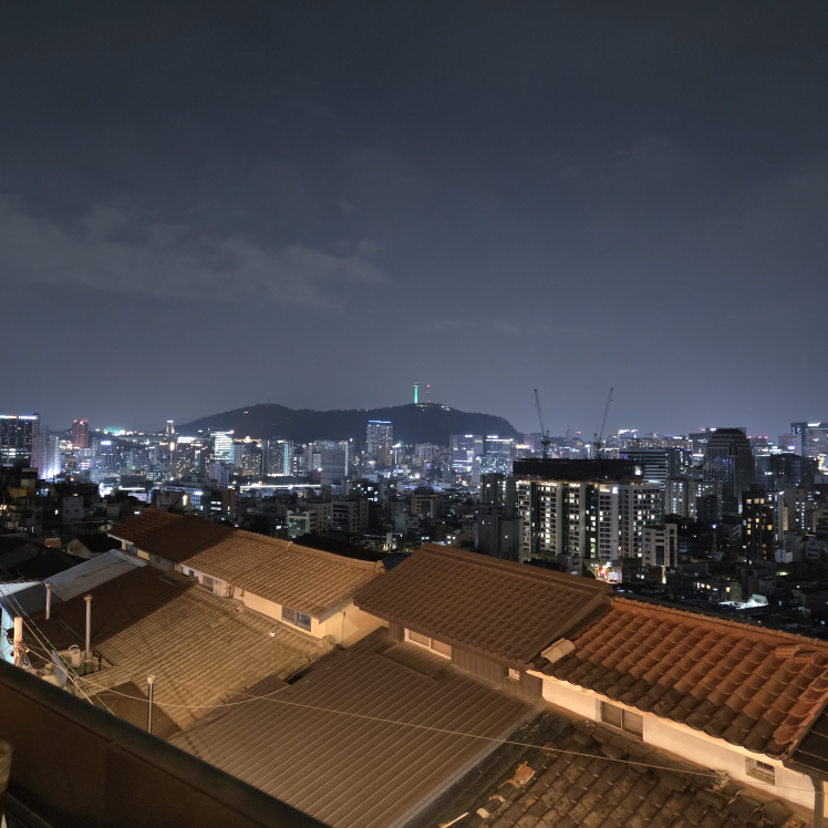개뿔 6