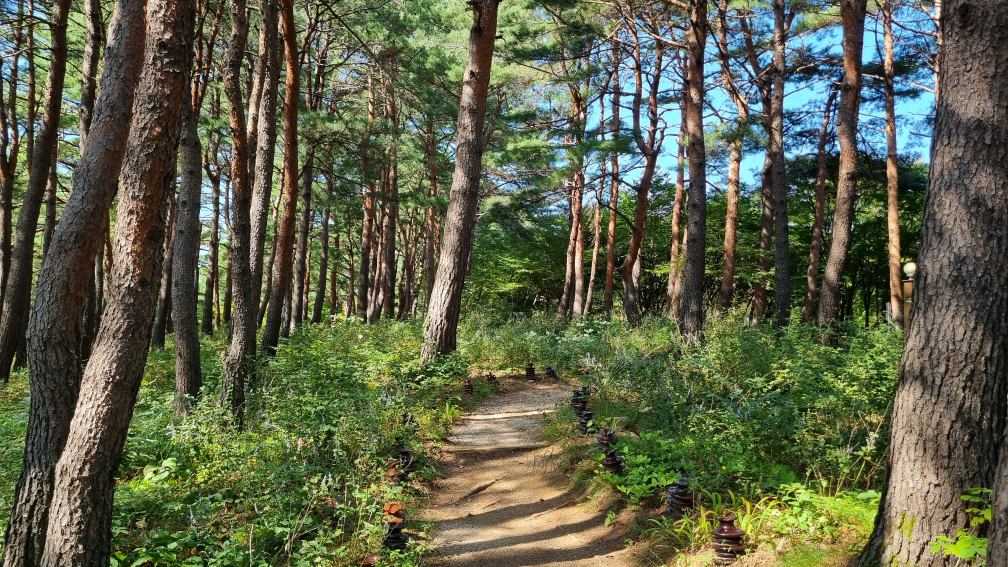 척산온천휴양촌 2주차장