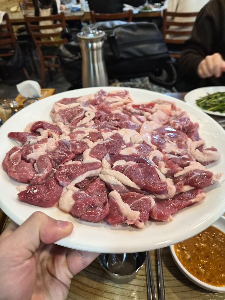 Nakdongsaengori 6