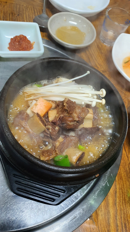 마우돈 사진 6