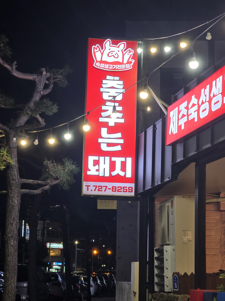 춤추는돼지 사진 2