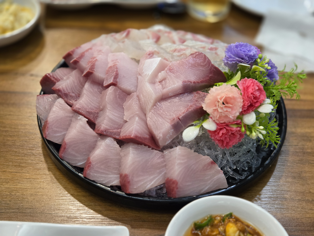 선도 사진 6