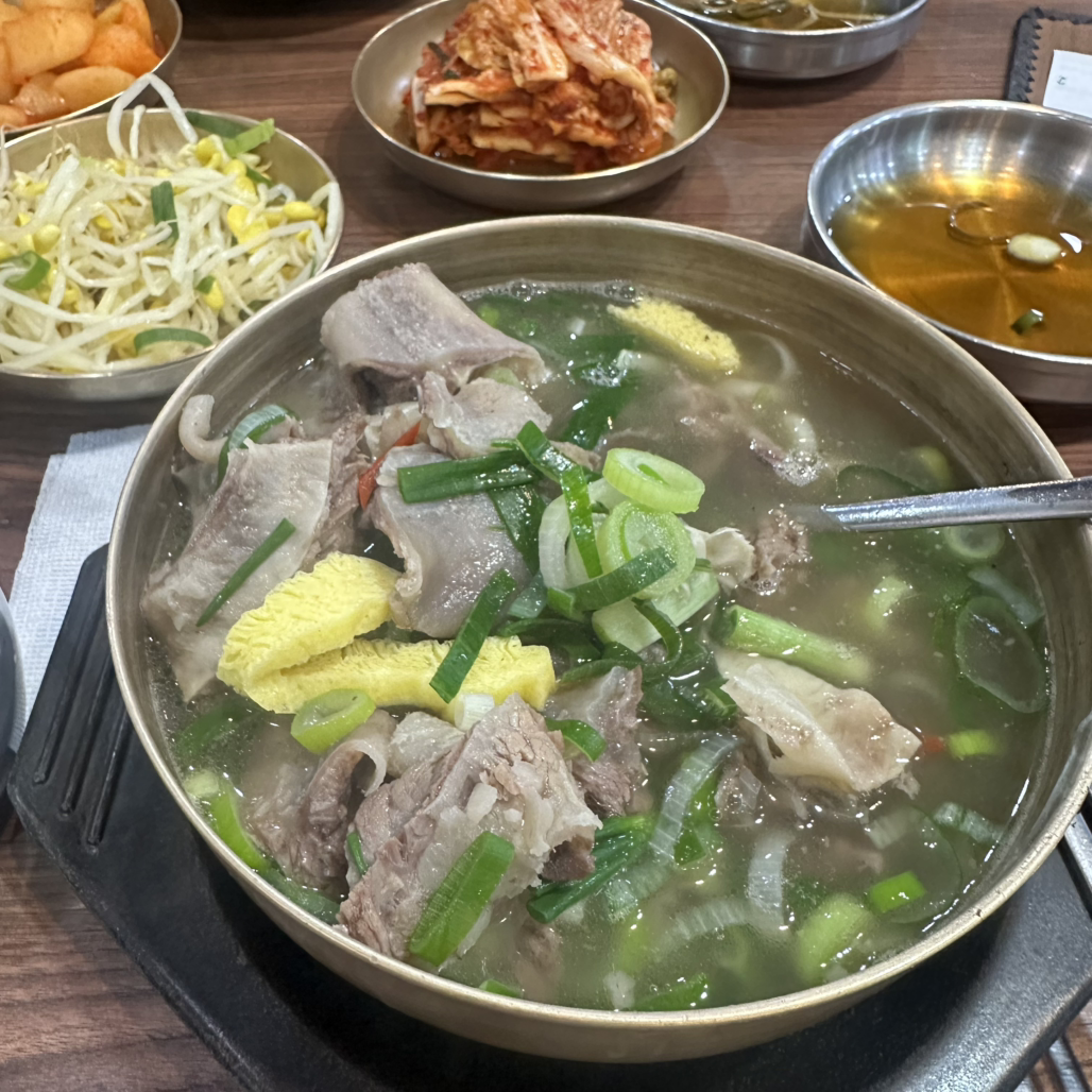우리 5