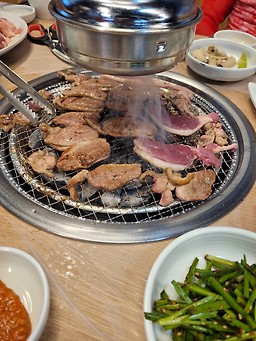 Haenamsaengorisutbulgui (해남생오리숯불구이) 1