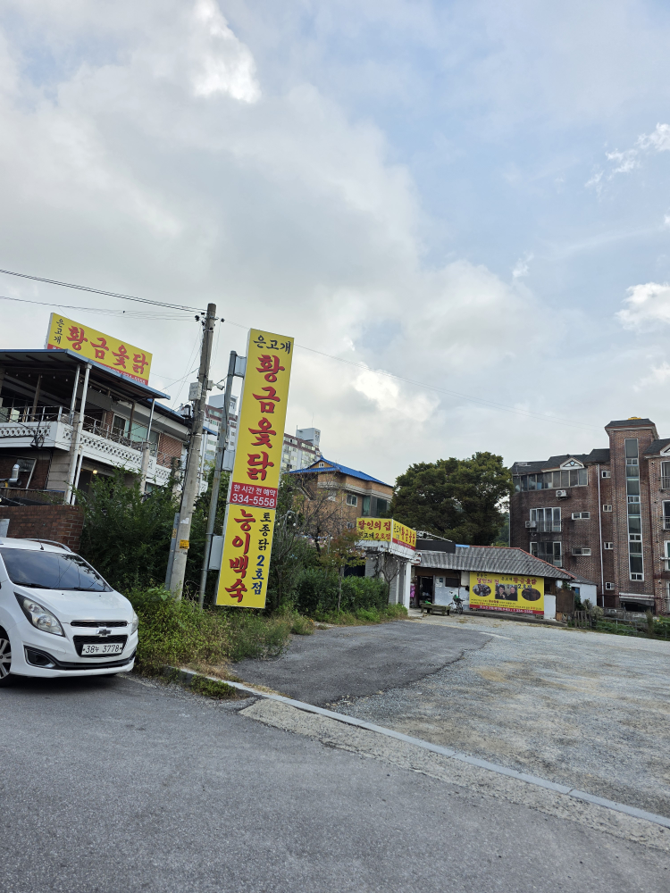 Eungogaehwanggeumotdak (은고개황금옻닭) 3