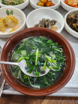 Seomjingangjaecheop 2
