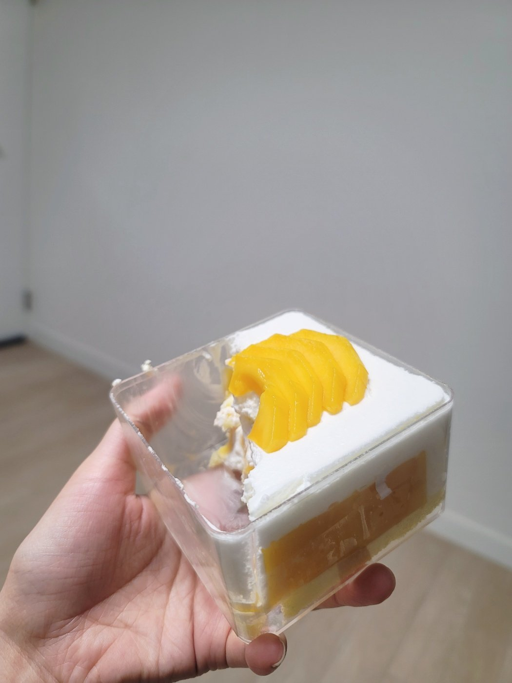 핑크벌스데이 5