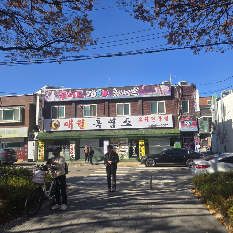 Maewolheukyeomso (매월흑염소) 2