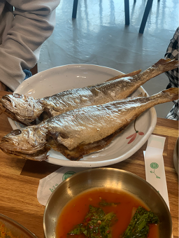 돌체 1
