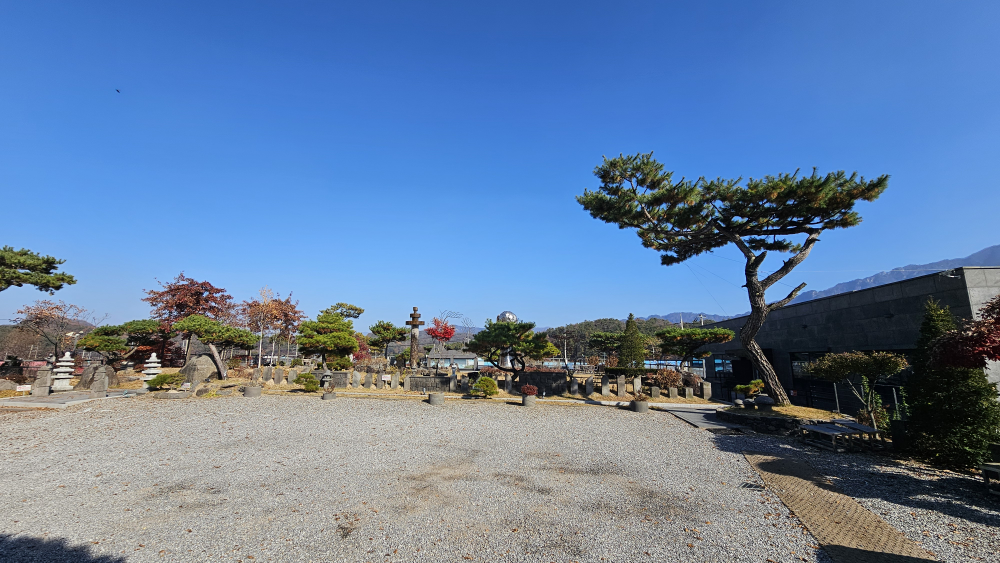 려원 1
