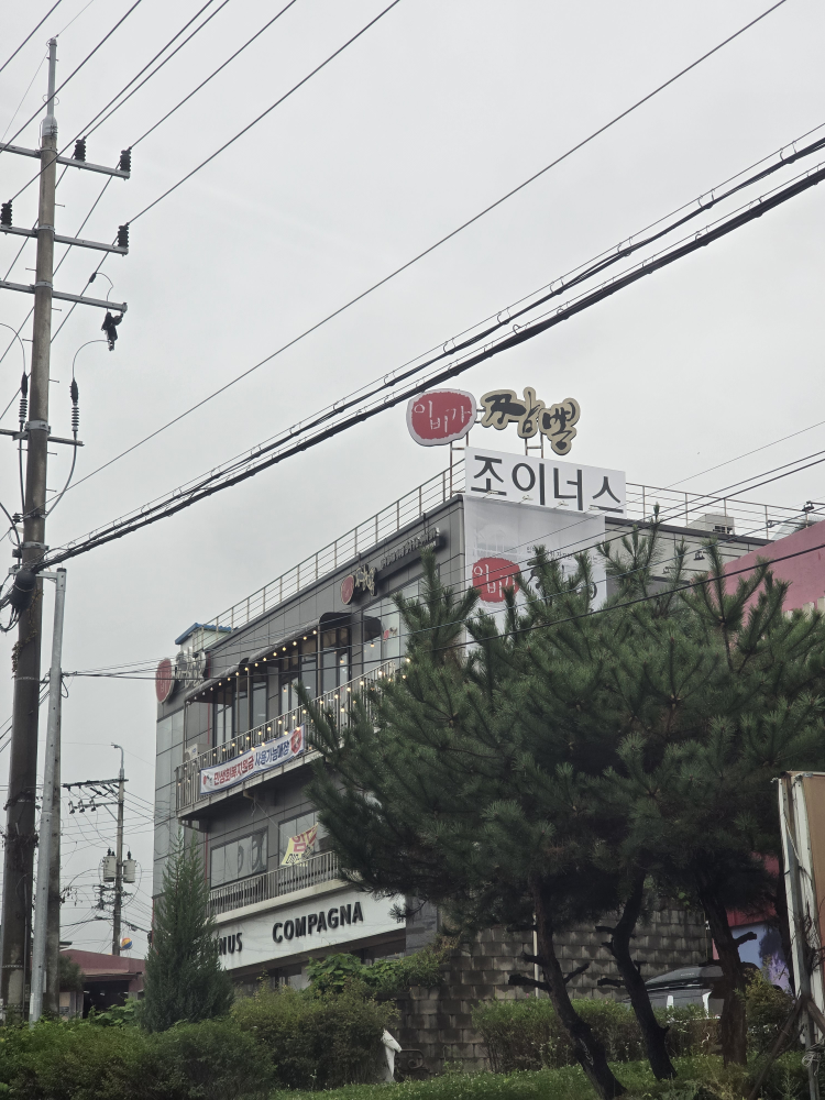 이비가짬뽕김포장기점 사진