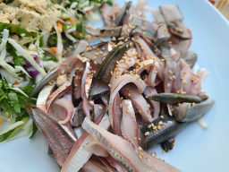바다잔치 사진 5