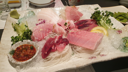 하나참치 사진 8