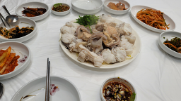 감포일출복어 6