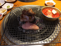 허니피그 사진 6
