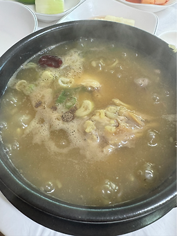 Gubongjeontongchamotdak (구봉전통참옻닭) 1