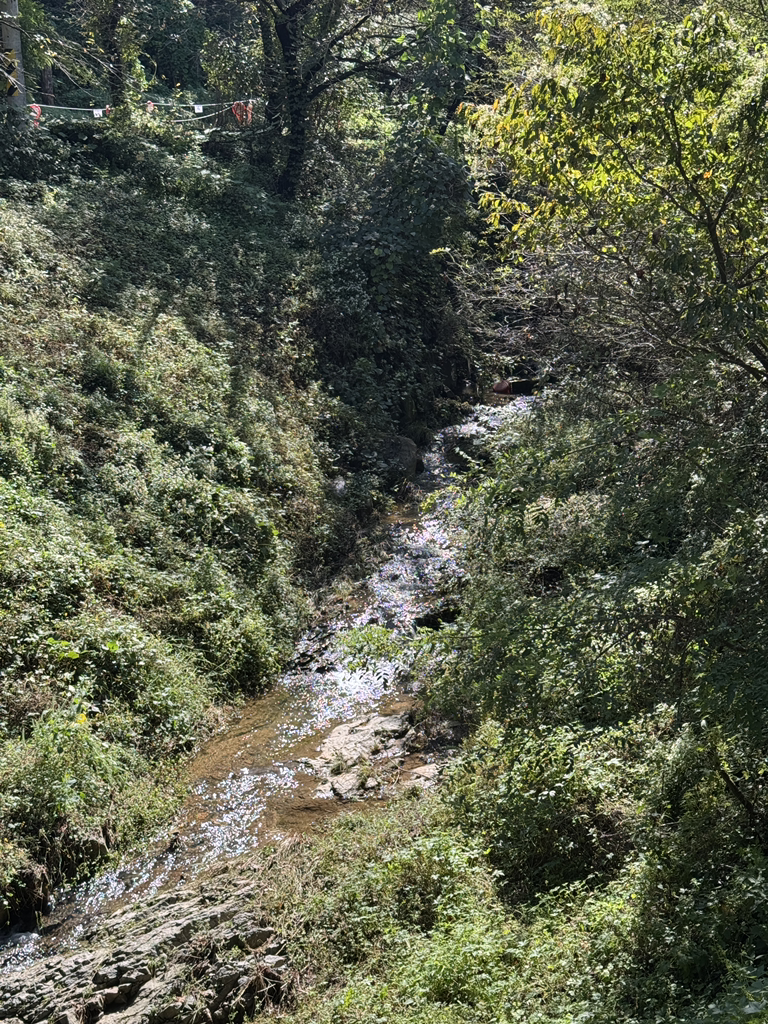카페마당 1