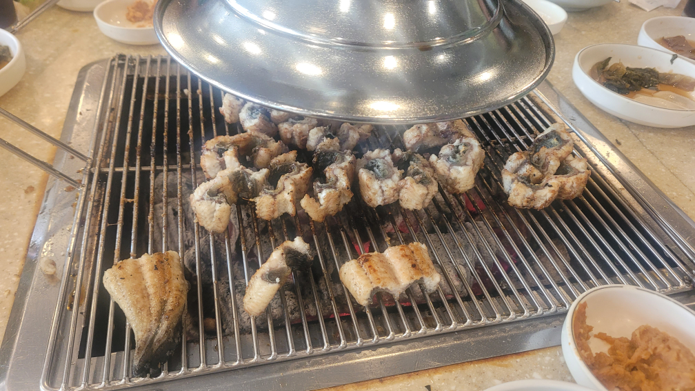 유동민물장어 4