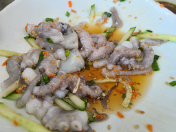 Nakjieommahoetjip 5