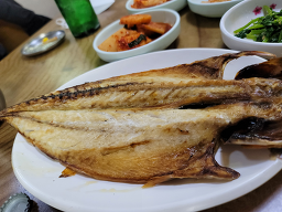산수정 사진 7