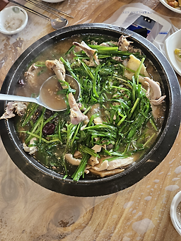 Solhyanggi (솔향기) 2