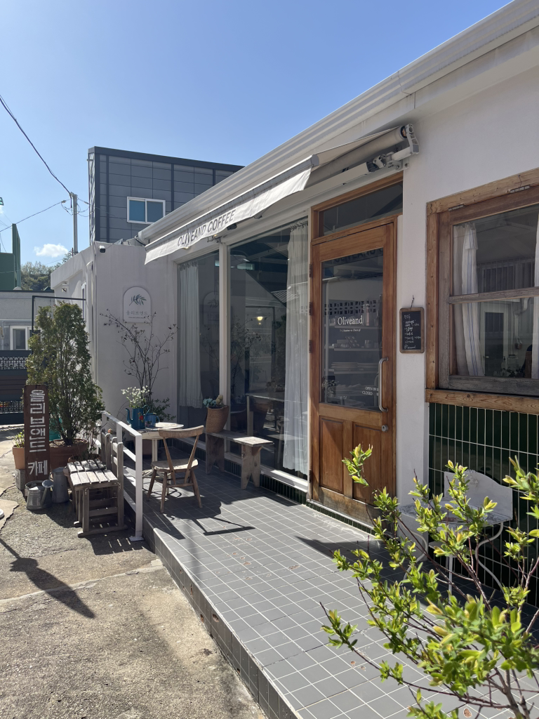 올리브앤드