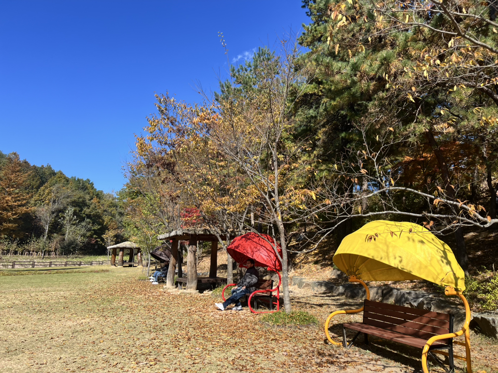 설악산자생식물원 9