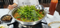 Yujinjeong 5