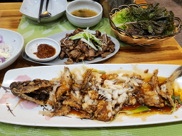 연잎연가 5