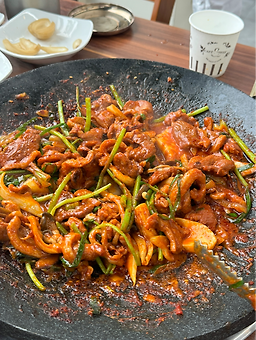 Yujeongwonhangangori (유정원한강오리) 2