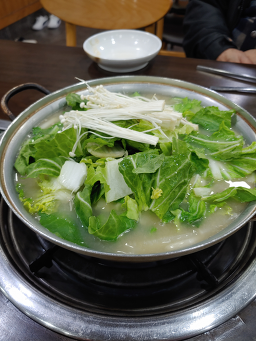 애삘레 사진 6