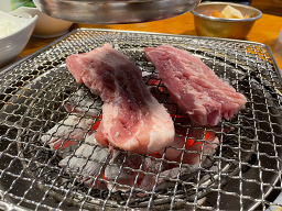 허니피그 사진 4