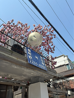 처가집 사진 6