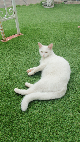일곱번째달 3