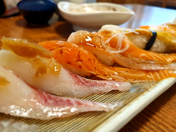 Saenghwalchobap 4