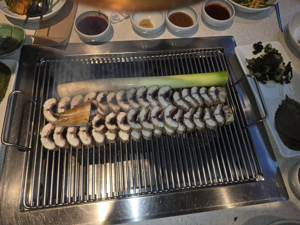 칠복장어 4