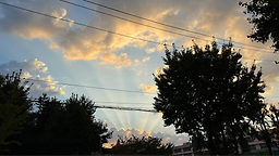 Naengjeonggwayeoljeongsai (냉정과열정사이) 2