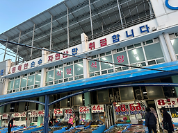 동명활어센타 5